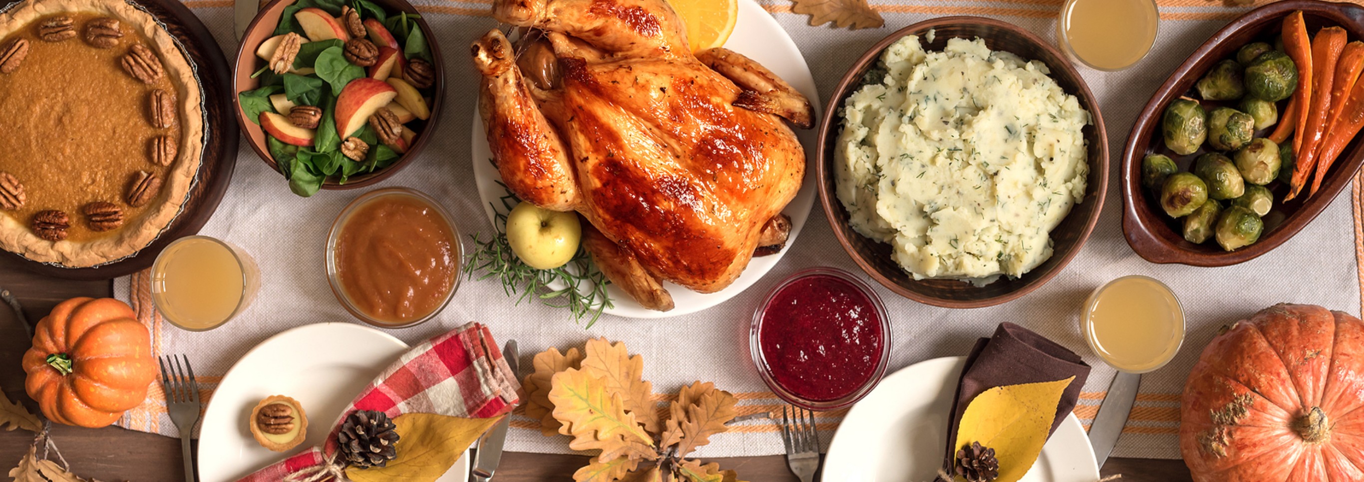 Thanksgiving Turkey Dinner