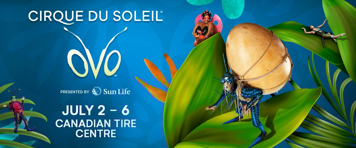 Cirque du Soleil