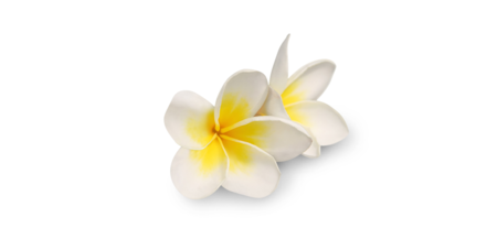 Save 25% at Au Naturel Spa