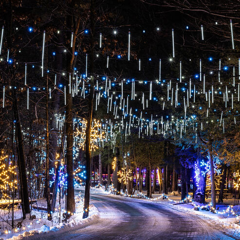 MAGIC OF LIGHTS PACKAGE