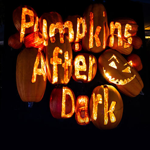 Pumpkins After Dark