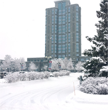 Brookstreet Hotel - Winter